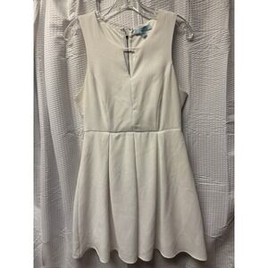 She + Sky Women's White Textured Size Large A Line Mini Dress Pleated Sleeveless